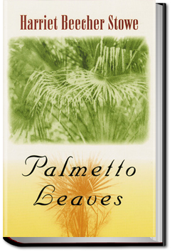 Palmetto-Leaves | Harriet Beecher Stowe
